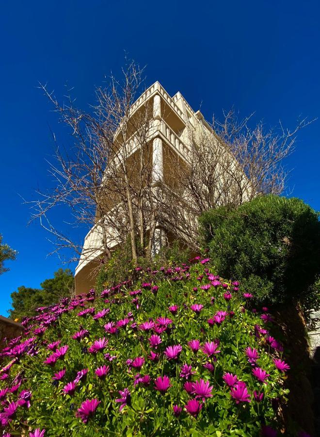 Hotel Villa Dzamonja Bol Dış mekan fotoğraf